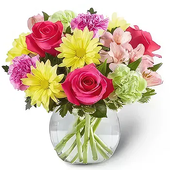 United Arab Emirates flowers  -  Fresh Colors Flower Delivery