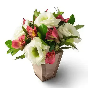 Brazil flowers  -  Arrangement of Field Flowers and Astromelia i Delivery