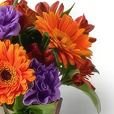 Chile flowers  -  Arrangement of Brightly Colored Field Flowers Flower Bouquet/Arrangement