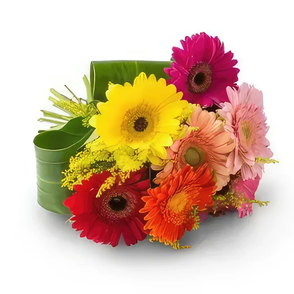 Belém kvety- Kytica 8 farebných Gerberas Aranžovanie kytice