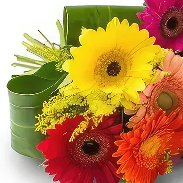 Brasilien Blumen Florist- Bouquet von 8 bunten Gerberas Bouquet/Blumenschmuck