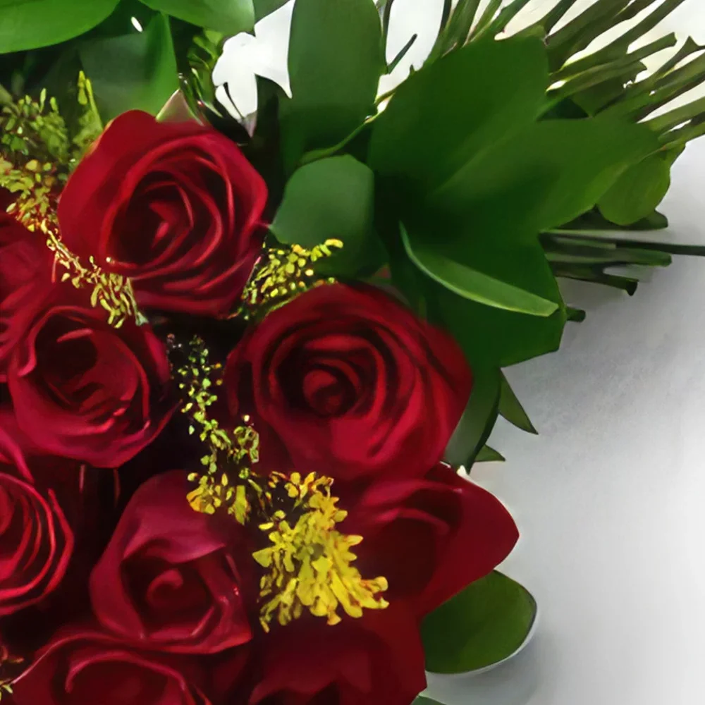 Fortaleza blomster- Bouquet af 36 røde roser Blomst buket/Arrangement