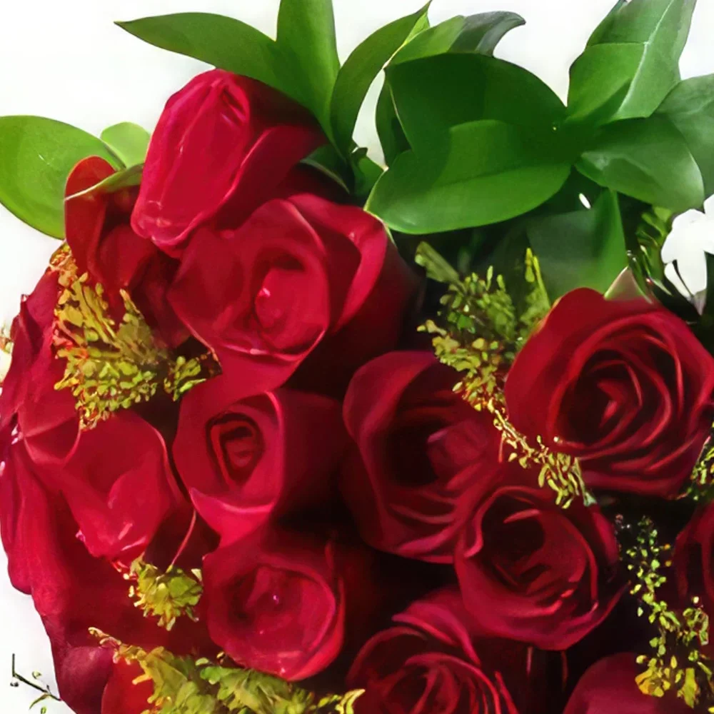 רסיפה פרחים- זר של 36 ורדים אדומים זר פרחים/סידור פרחים