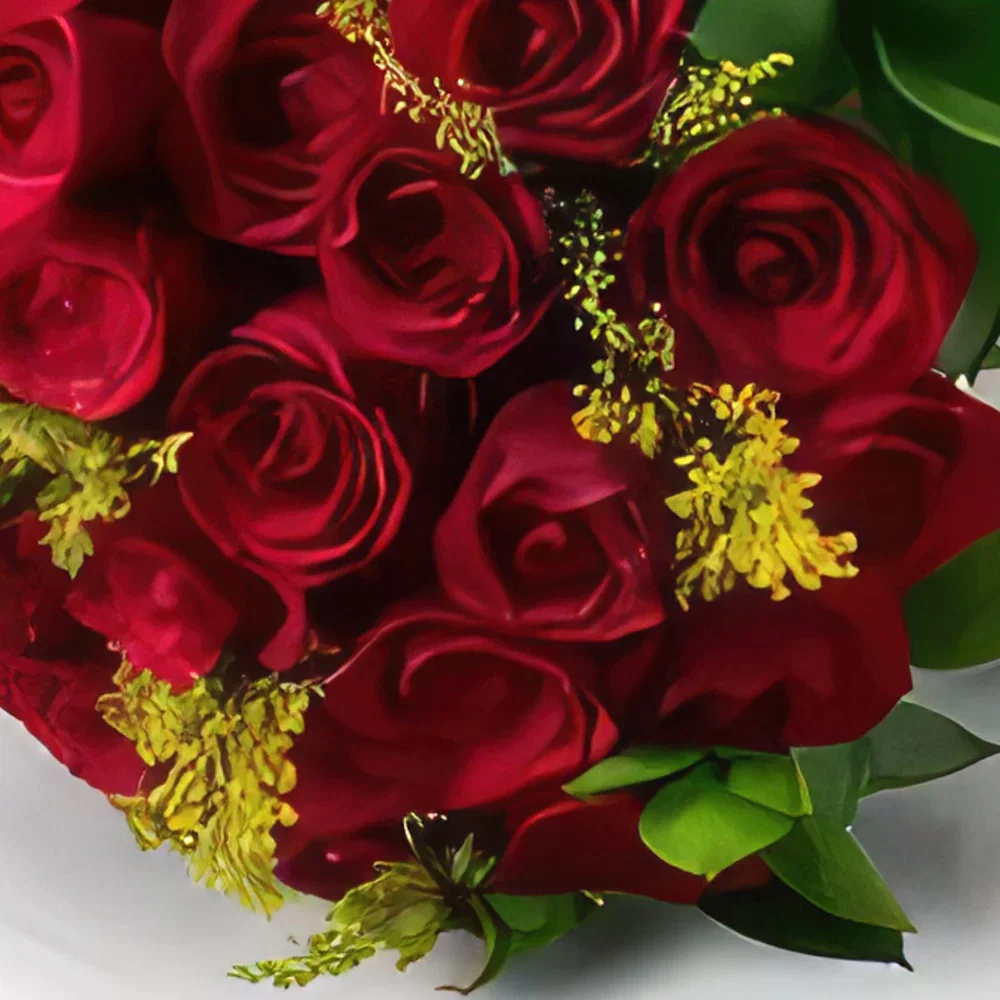 サンパウロ 花- 36本の赤いバラの花束 花束/フラワーアレンジメント