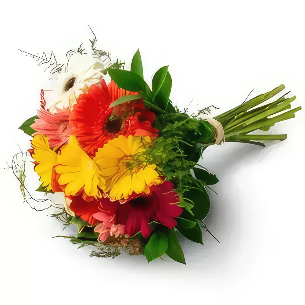 Fortaleza blomster- Bouquet af 12 Gerberas Blomst buket/Arrangement