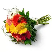 Uberlândia Florista online - Buquê de 12 Gerberas Buquê