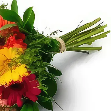 Frecheirinha flowers  -  Bouquet of 12 Gerberas Flower Bouquet/Arrangement