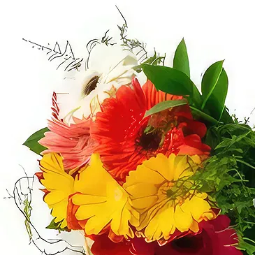 Frecheirinha flowers  -  Bouquet of 12 Gerberas Flower Bouquet/Arrangement