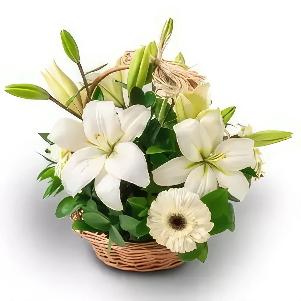 manaus kukat- Kori liljojen ja valkoisten gerberas Kukka kukkakimppu