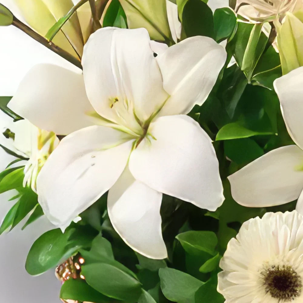 fortaleza kukat- Kori liljojen ja valkoisten gerberas Kukka kukkakimppu