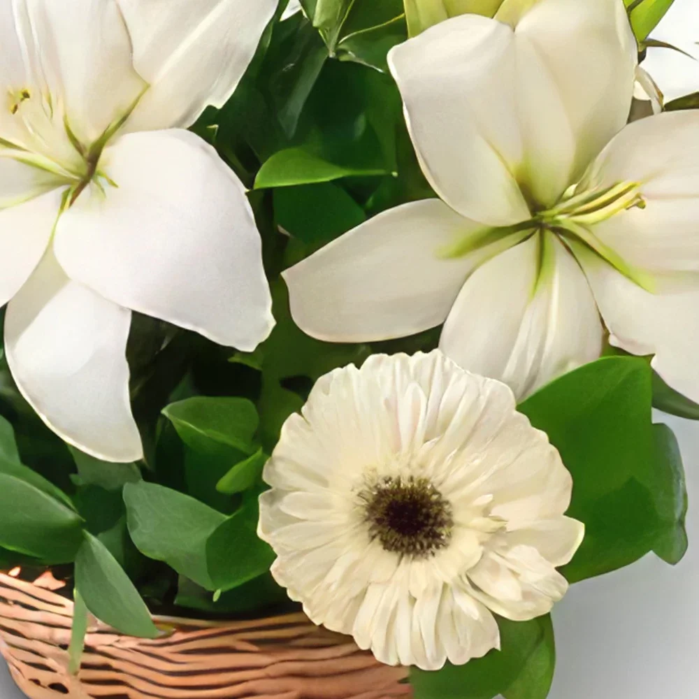 Belém blomster- Kurv med liljer og hvit gerberas Blomsterarrangementer bukett