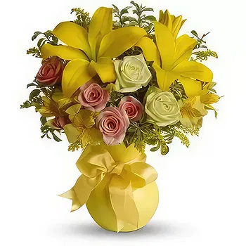 Bemaitso (Bemaitso) blomster- Citrus kysset Blomst Levering