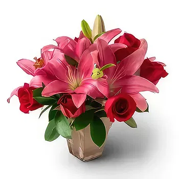 Brazil flowers  -  Arrangement of Lilies and Red Roses Flower Delivery