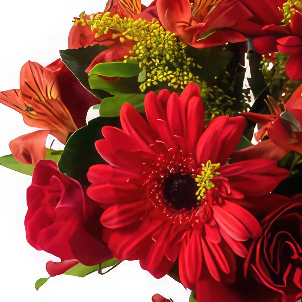 Belém blomster- Arrangement av blandede røde blomster og sjok Blomsterarrangementer bukett