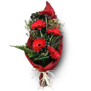 Lisbon flowers  -  Pure Feelings Flower Delivery