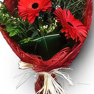 Valença flowers  -  Pure Feelings Flower Bouquet/Arrangement