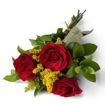 Brazil flowers  -  Arrangement of 3 Red Roses Flower Delivery