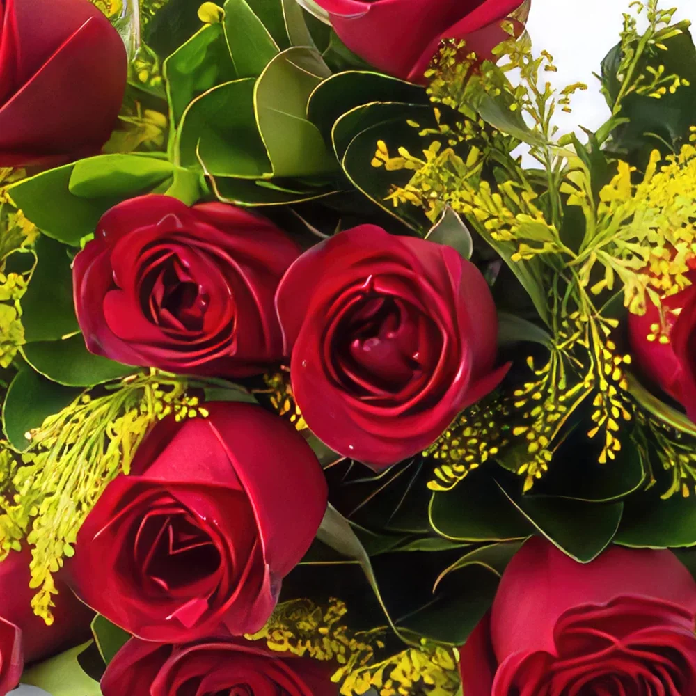 بائع زهور ساو باولو- باقة من 12 وردة حمراء ونبيذ فوارة باقة الزهور