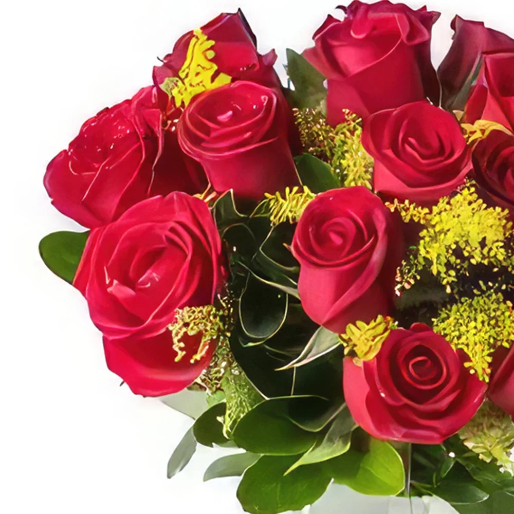 fortaleza kukat- Juhli punaisten ruusujen kanssa Kukka kukkakimppu