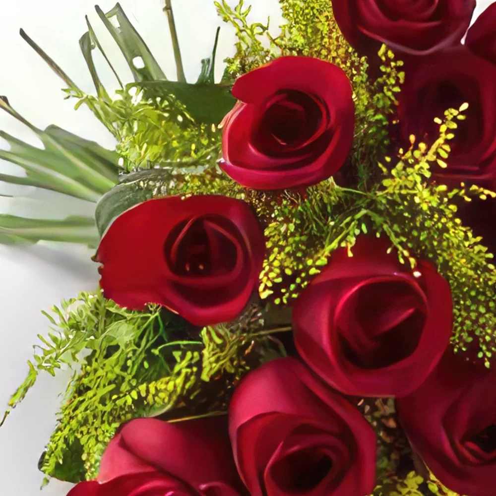 Fortaleza flowers  -  Bouquet of 20 Red Roses Flower Bouquet/Arrangement