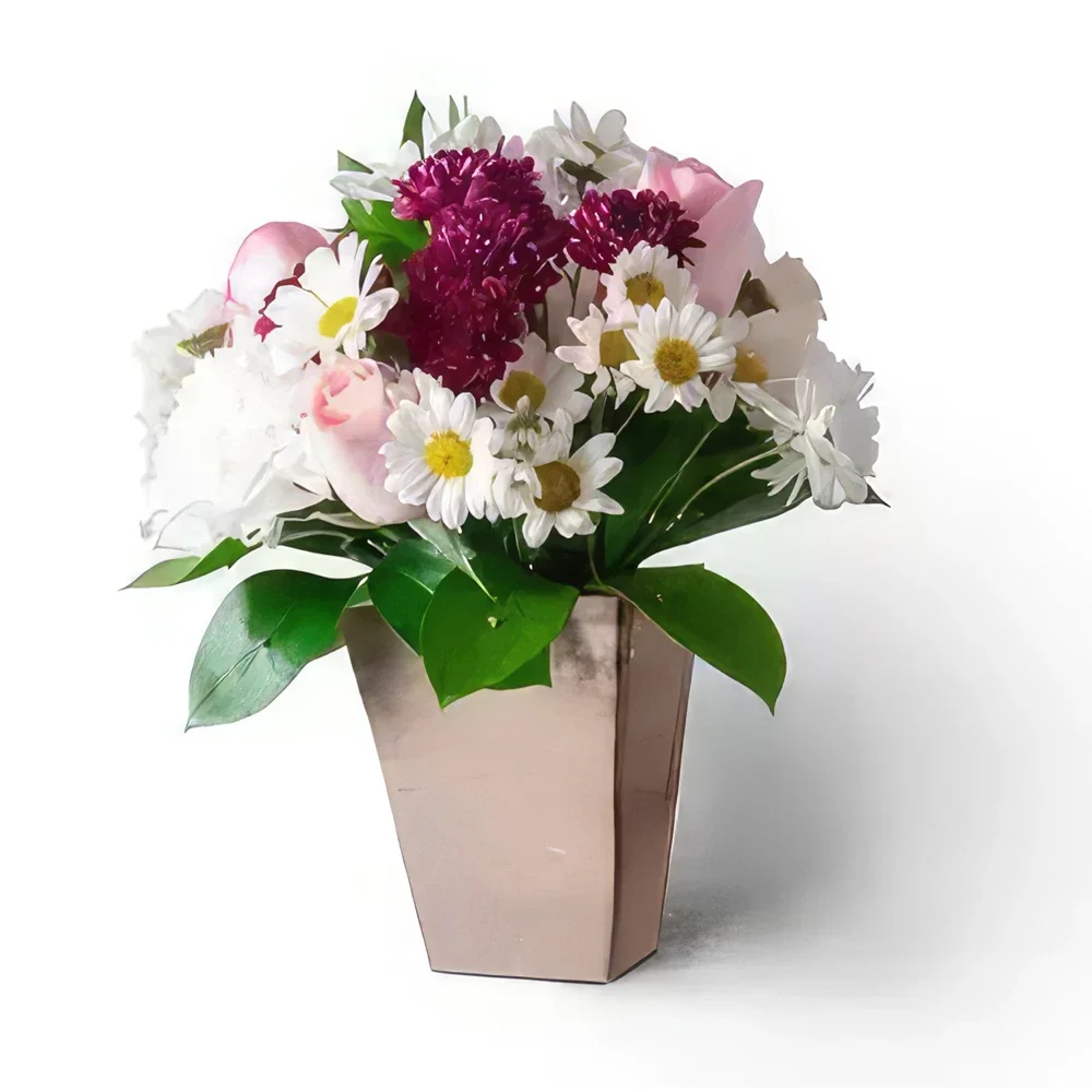 브라질리아 꽃- 핑크 톤의 데이지, 카네이션, 장미의 배열 꽃다발/꽃꽂이
