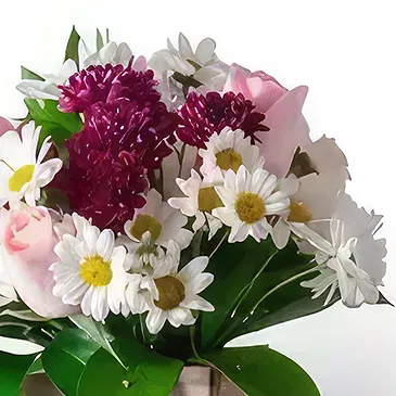 Brasilien Blumen Florist- Arrangement von Gänseblümchen, Nelken und Ros Bouquet/Blumenschmuck