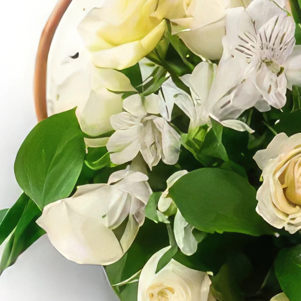 Σαλβαντόρ λουλούδια- Καλάθι των λευκών λουλουδιών τομέων Μπουκέτο/ρύθμιση λουλουδιών