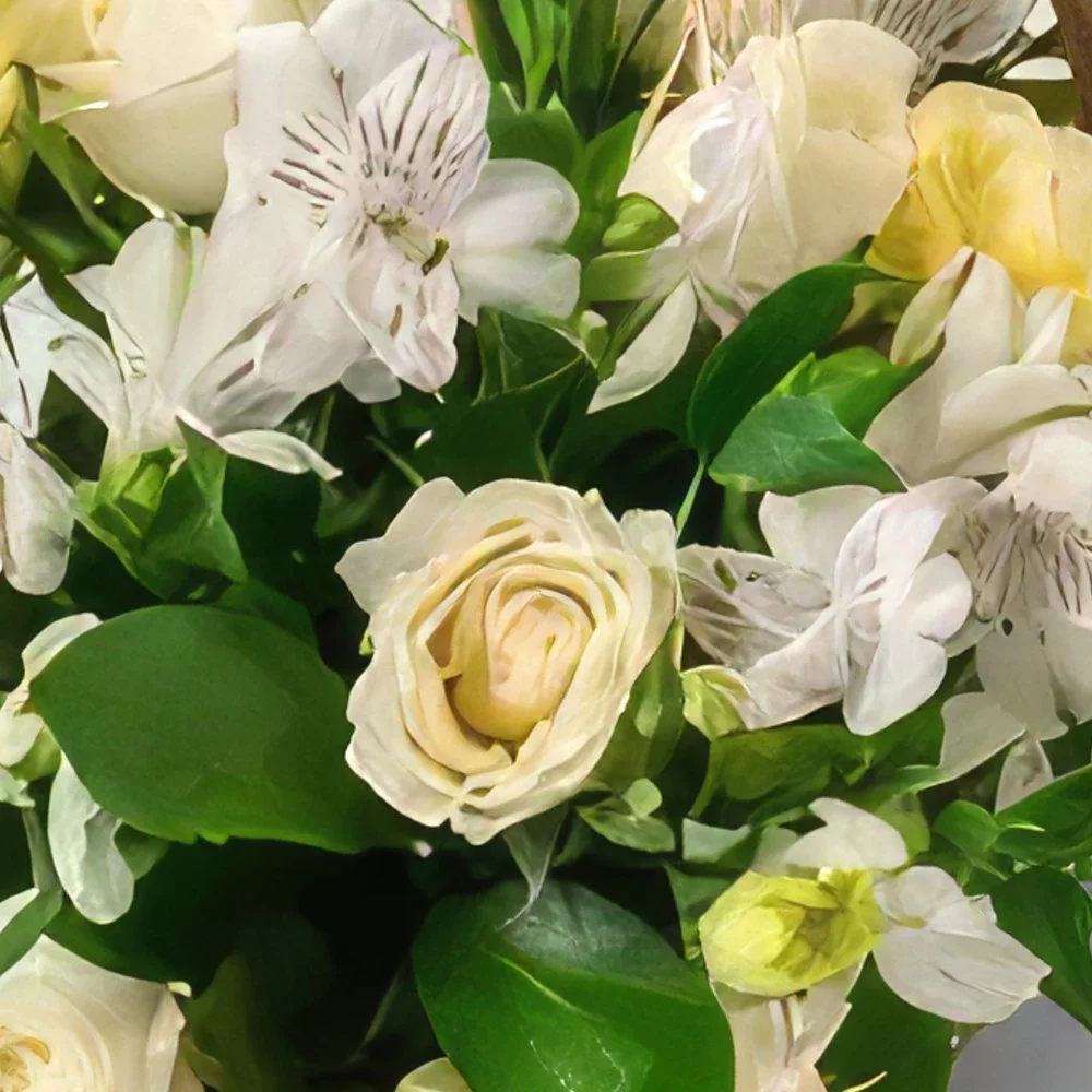 Belém kvety- Kôš bielych kvetov poľa Aranžovanie kytice