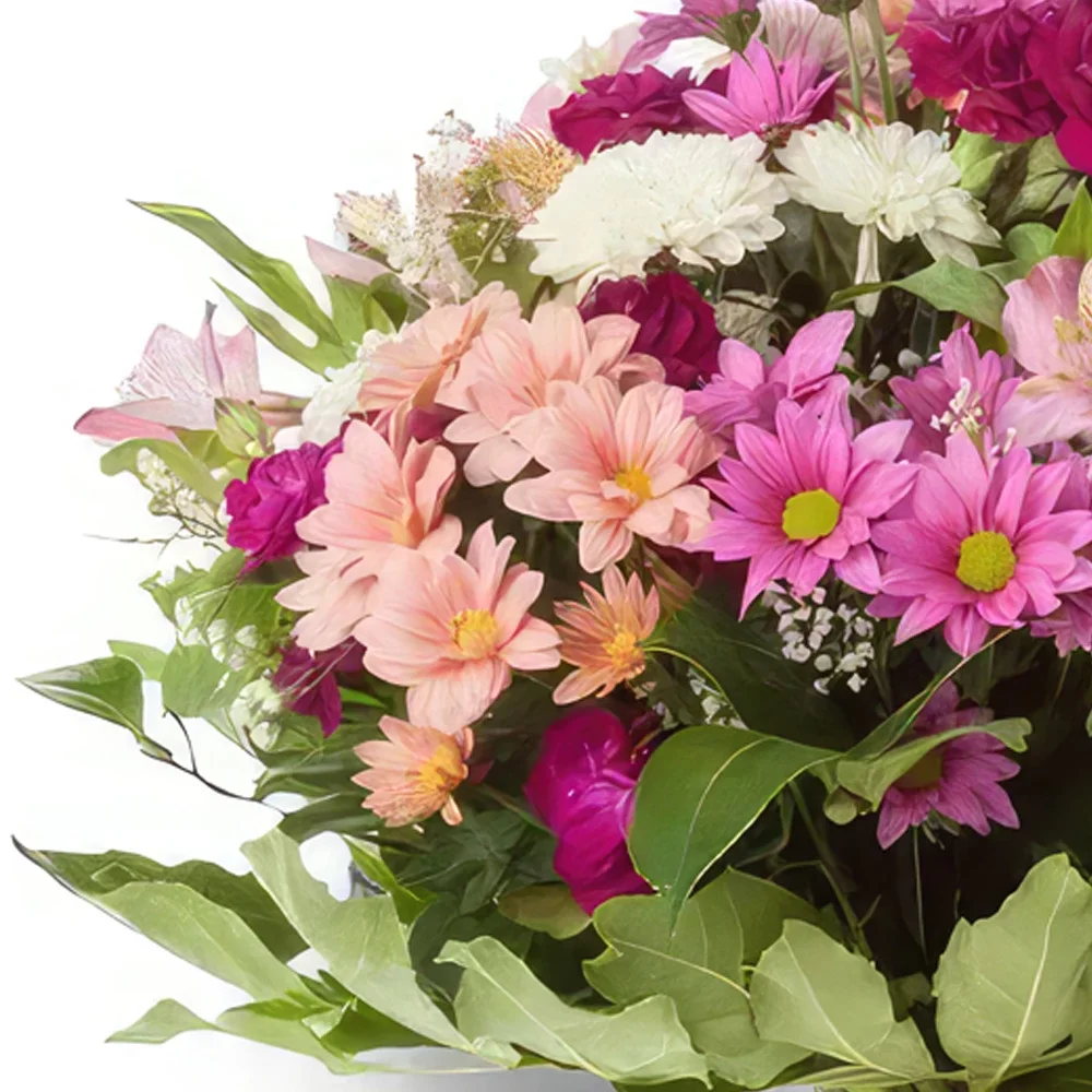 ดอกไม้ บายาโดลิด - วงดนตรีเชียร์ฟูลบลูม ช่อดอกไม้/การจัดวางดอกไม้