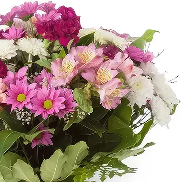 Ariz flowers  -  Cheerful Bloom Ensemble Flower Bouquet/Arrangement