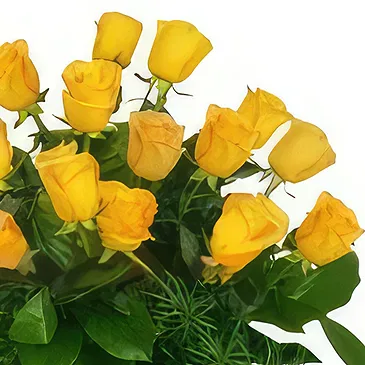 Cung Kiệm flowers  -  Graceful Roses Flower Bouquet/Arrangement