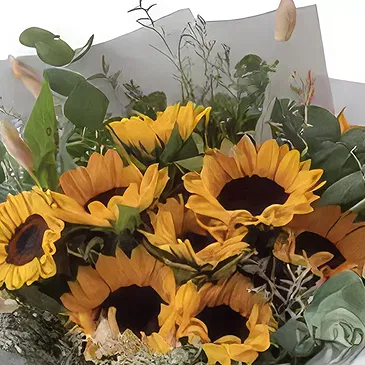 Garhoud flowers  -  Fresh Feeling Flower Bouquet/Arrangement