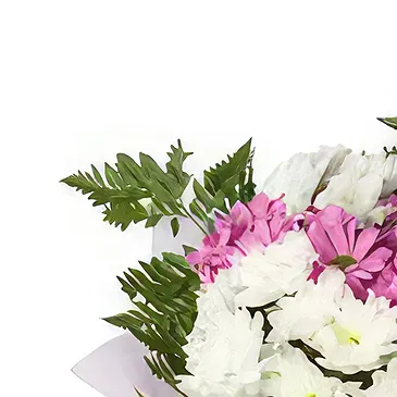 Beljanovo Blumen Florist- Rosa-Weiß-Romantik Bouquet/Blumenschmuck