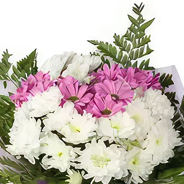 Beljanovo Blumen Florist- Rosa-Weiß-Romantik Bouquet/Blumenschmuck
