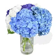 Taunton online Florist - Blushing Beauty Bouquet