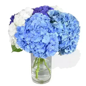 United Kingdom flowers  -  Blushing Beauty Flower Delivery