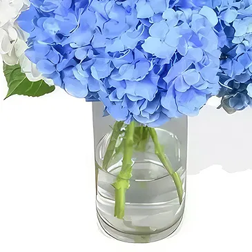 Taunton flowers  -  Blushing Beauty Flower Bouquet/Arrangement
