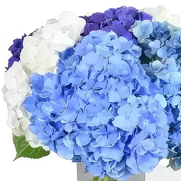 Taunton flowers  -  Blushing Beauty Flower Bouquet/Arrangement