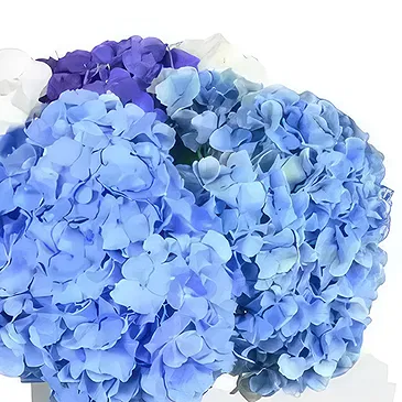 Taunton flowers  -  Blushing Beauty Flower Bouquet/Arrangement