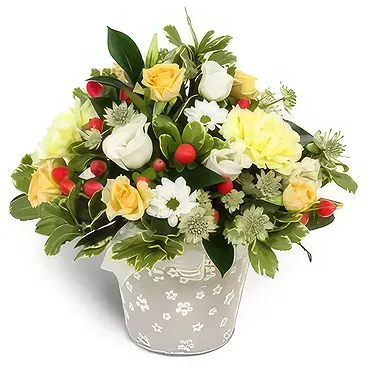Palia Ampelia flowers  -  Everyday Flowers Flower Bouquet/Arrangement