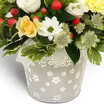Palia Ampelia flowers  -  Everyday Flowers Flower Bouquet/Arrangement