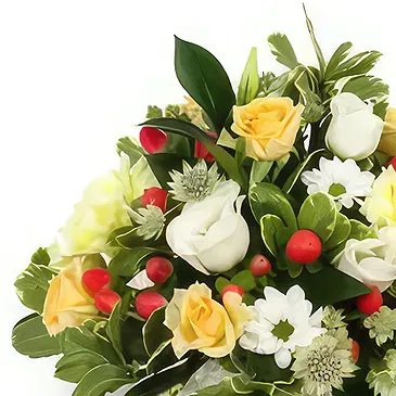 Palia Ampelia flowers  -  Everyday Flowers Flower Bouquet/Arrangement