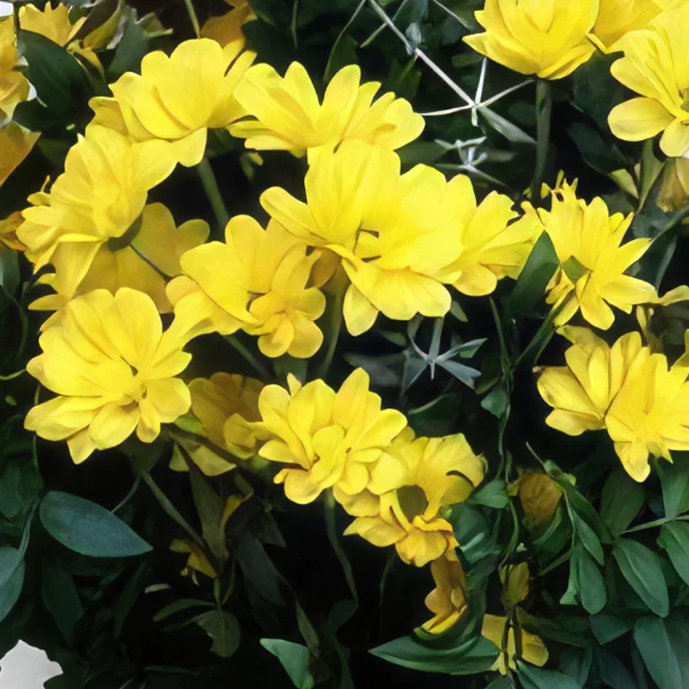 Cascais-virágok- Élénk sárga Virágkötészeti csokor