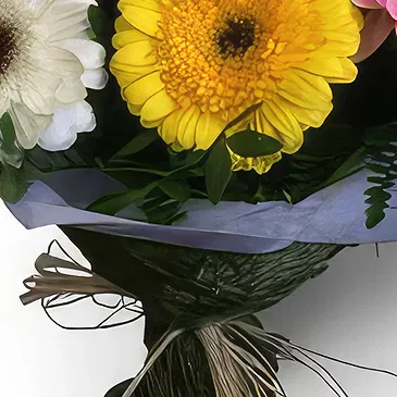 Santa Cruz flowers  -  Colorful Flower Bouquet/Arrangement