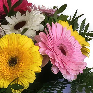 Santa Cruz flowers  -  Colorful Flower Bouquet/Arrangement