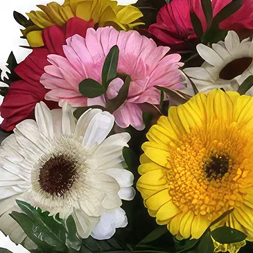 Santa Cruz flowers  -  Colorful Flower Bouquet/Arrangement