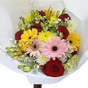 バリンゴ オンライン花屋 - ガーベラパーフェクション 花束