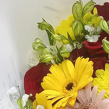 Kenya flowers  -  Gerberas Perfection Flower Bouquet/Arrangement