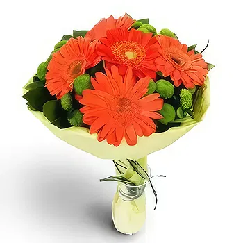 Kravino flowers  -  Flowers of Goodwill Delivery