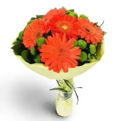 Bulgaria flowers  -   Flower Bouquet/Arrangement